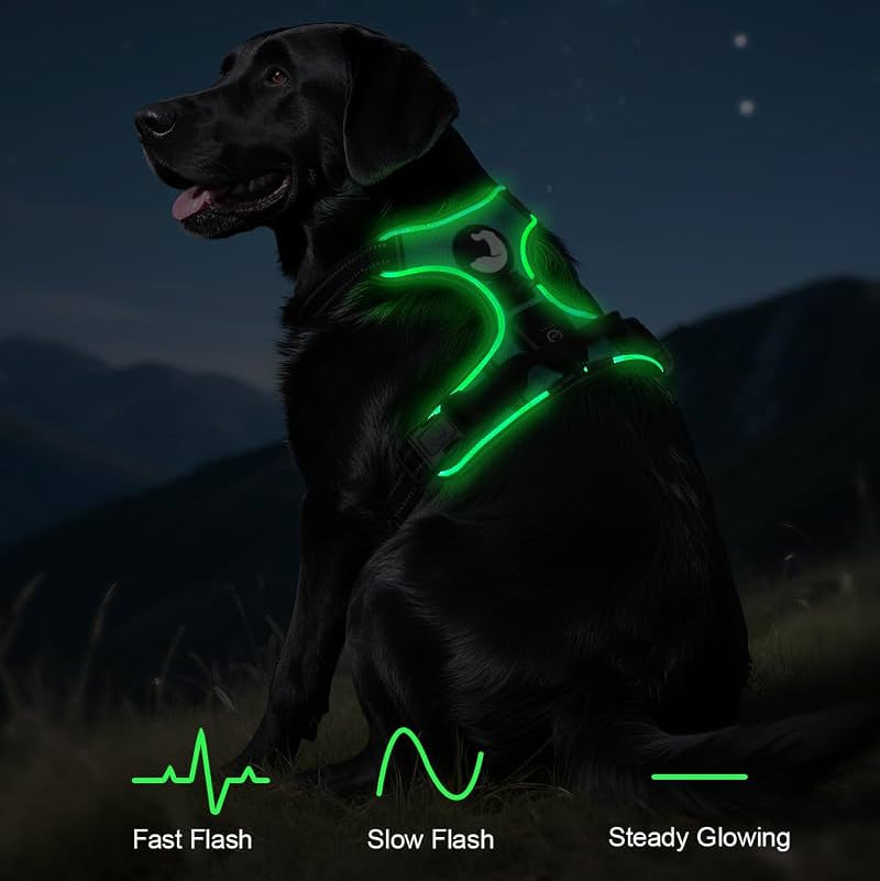 WagLight LED Safety Harness