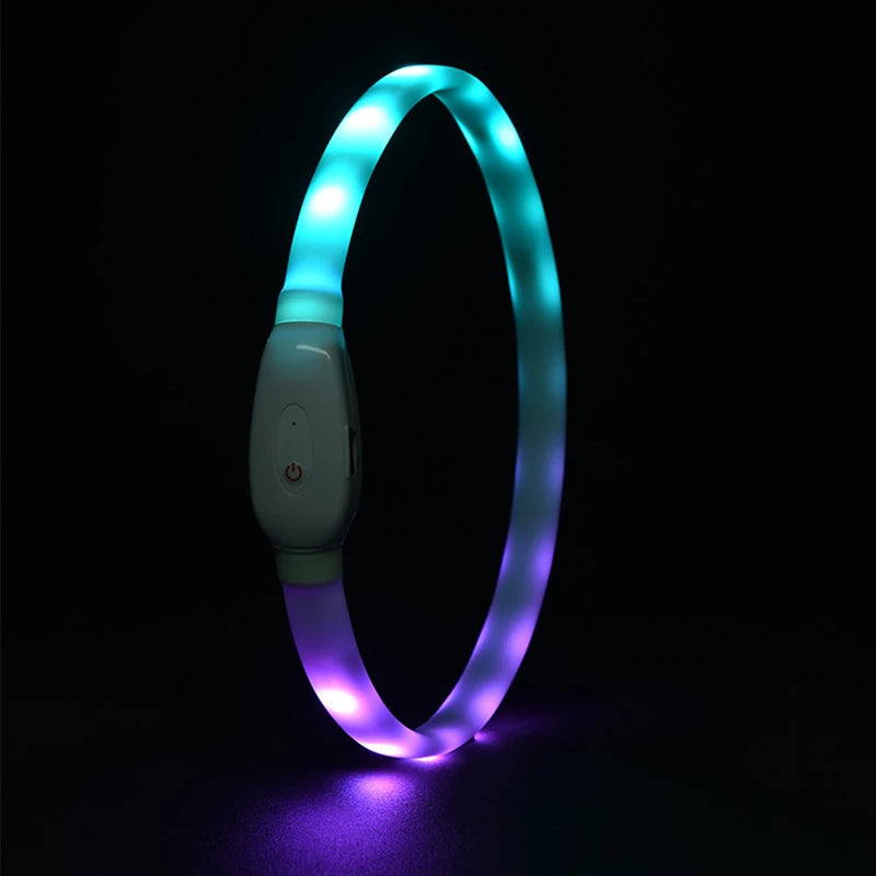WagLight LED Safety Collar