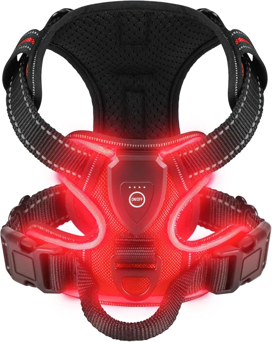 WagLight LED Safety Harness