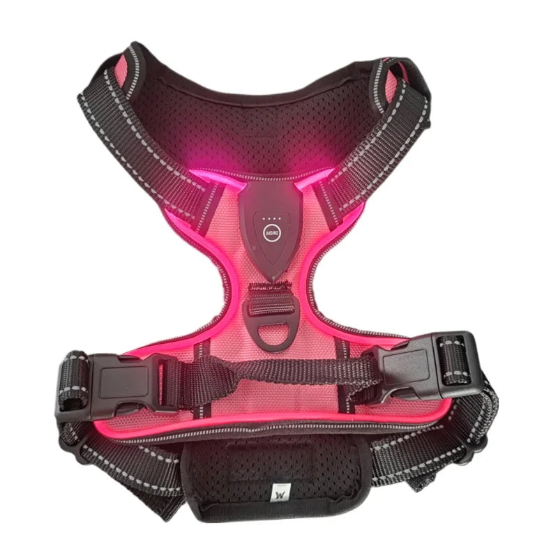 WagLight LED Safety Harness