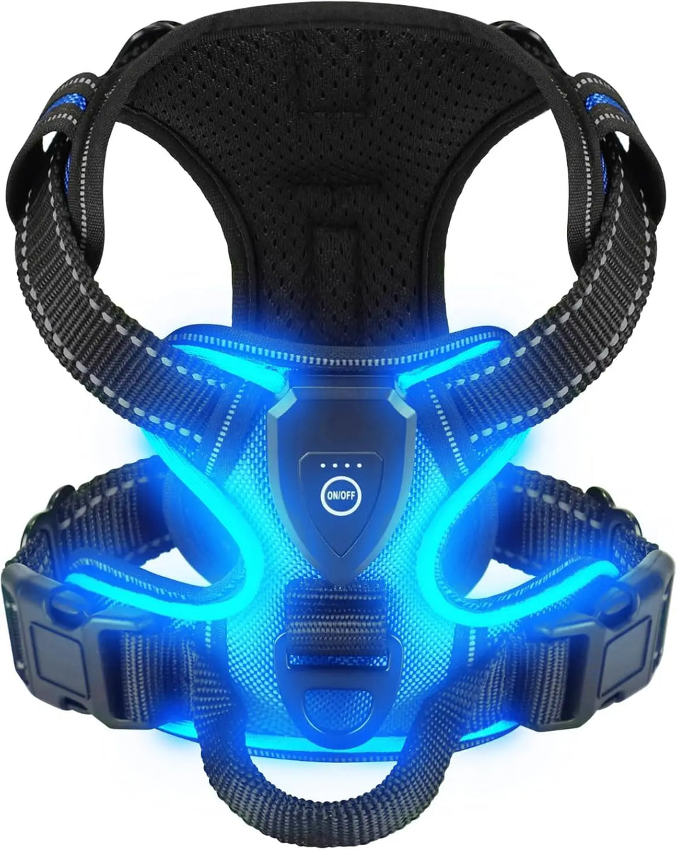 WagLight LED Safety Harness