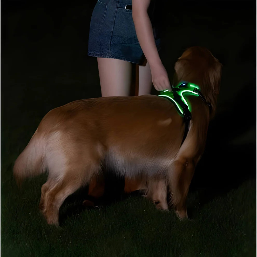WagLight LED Safety Harness