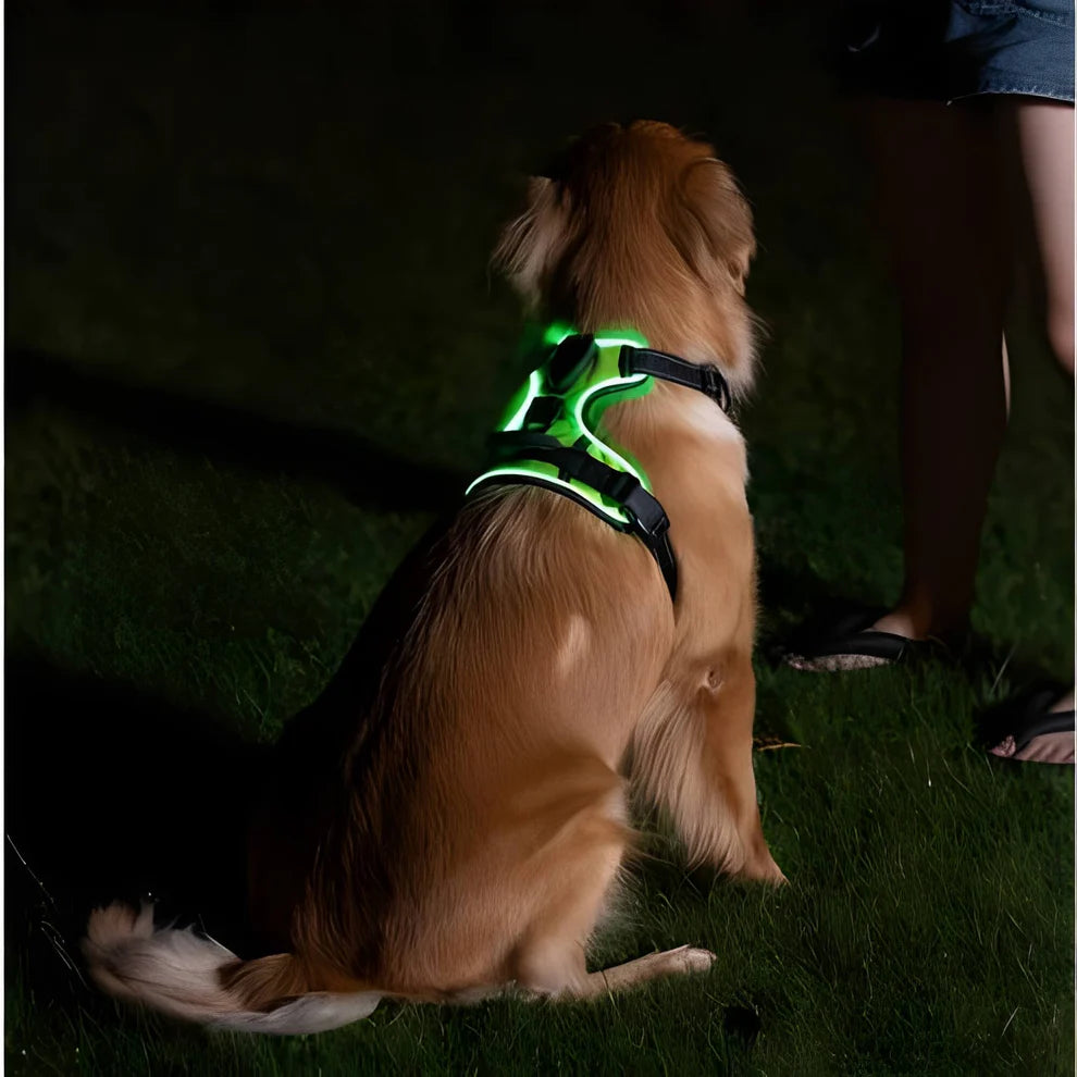 WagLight LED Safety Harness