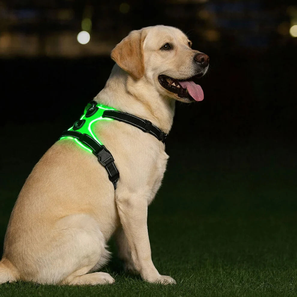 WagLight LED Safety Harness